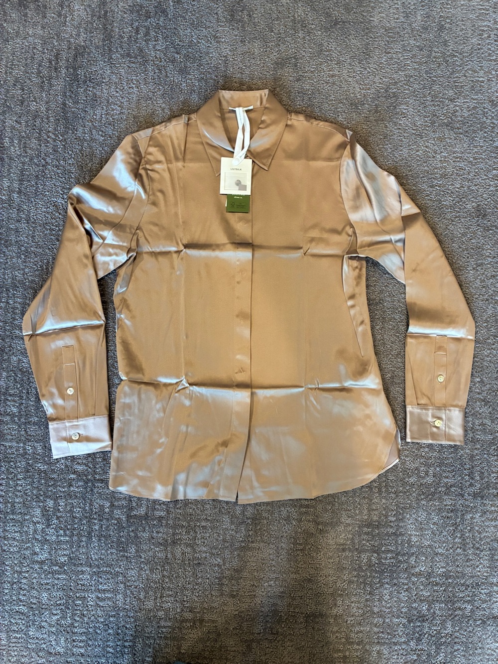 Elegant Silhouette Silk Shirt